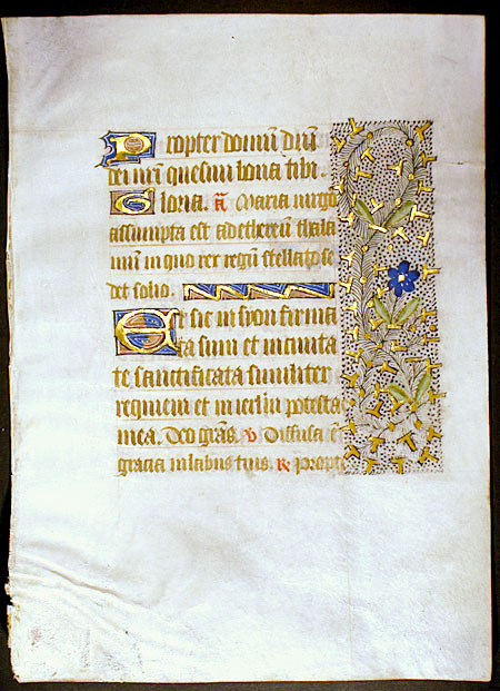 Medieval Book of Hours Leaf - Unusual decorative borders