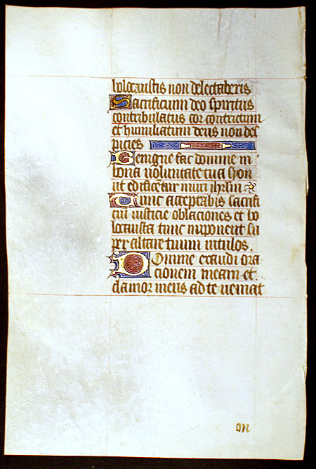 Medieval Book of Hours Leaf - Numerous illuminated initials