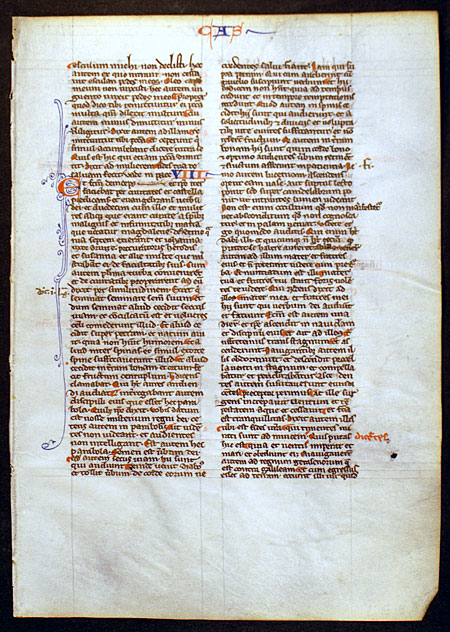 Medieval Bible Leaf - Luke - Thy faith hath made thee whole...