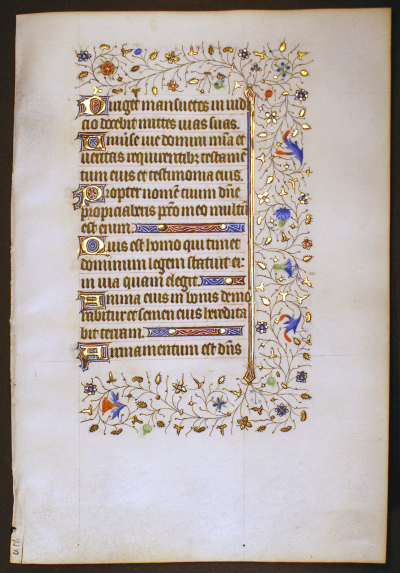 Medieval Book of Hours Leaf - Elegant rinceaux border - Psalms