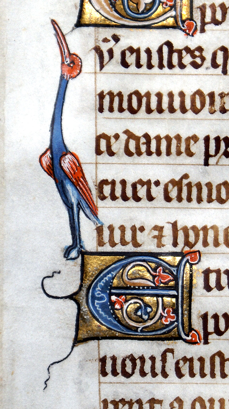 Book of Hours with wonderful crane in margin - c 1240 - France