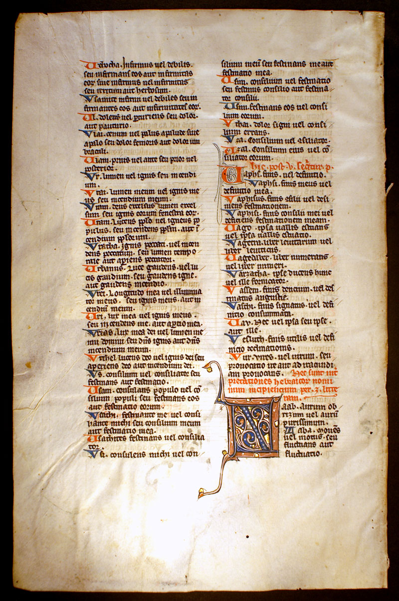 Medieval Bible Leaf - Lexicon - T U and Z names