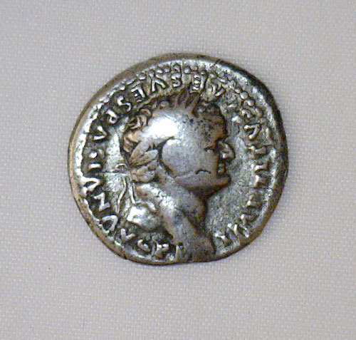 Ancient Roman Silver Denarius c. 79-81 AD - TITUS