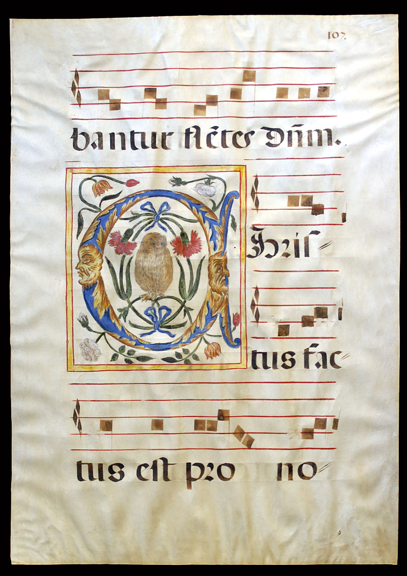 c. 1600 Gregorian Chant - Initial w/flowers and owl - Spain