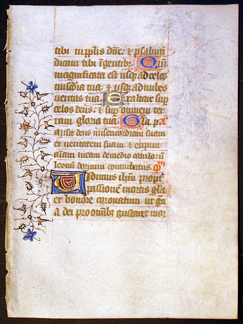 Medieval Book of Hours Leaf - beautiful rinceaux borders