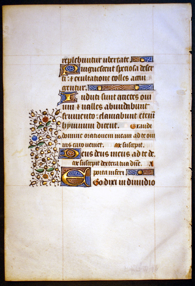 Medieval Book of Hours Leaf - c 1450 - Rinceaux border
