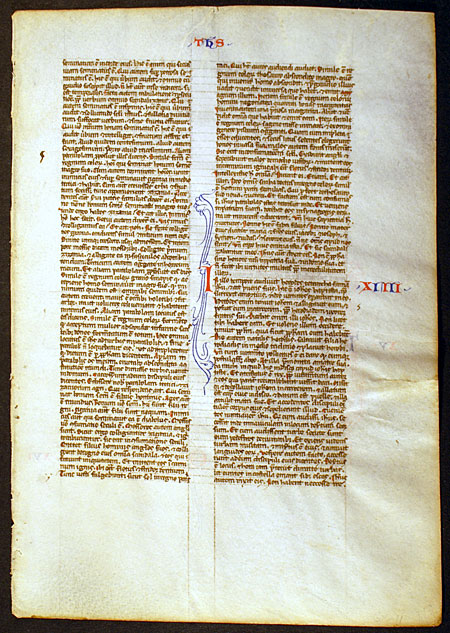 Medieval Bible Leaf - Matthew ''O thou of little faith...''
