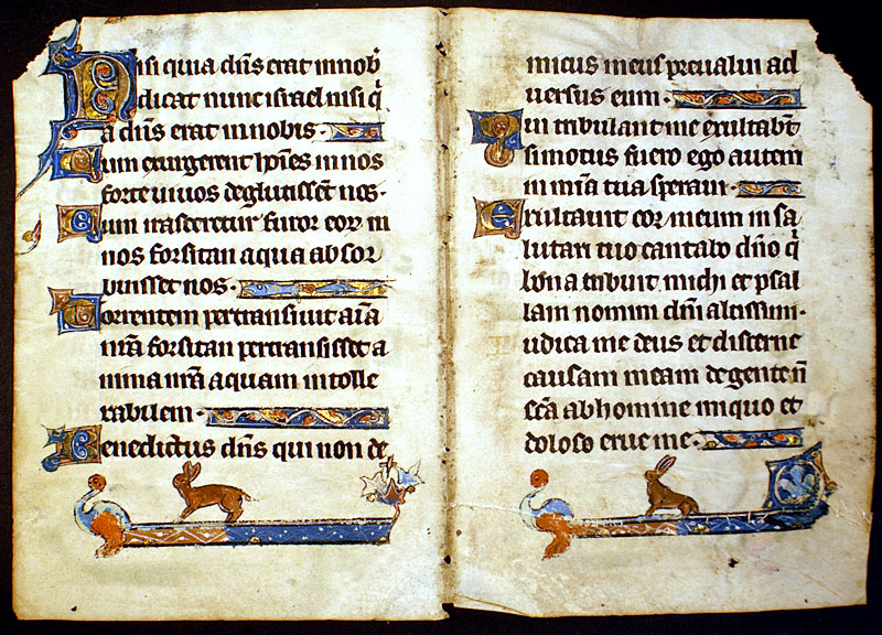 Early Medieval Psalter-Hours - Creature Feature!