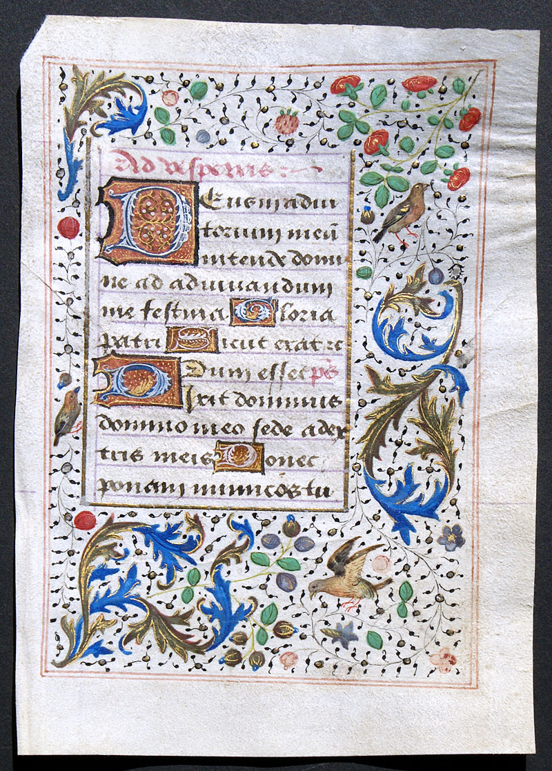 Elaborate Borders w 3 Birds - c. 1485 Book of Hours Leaf