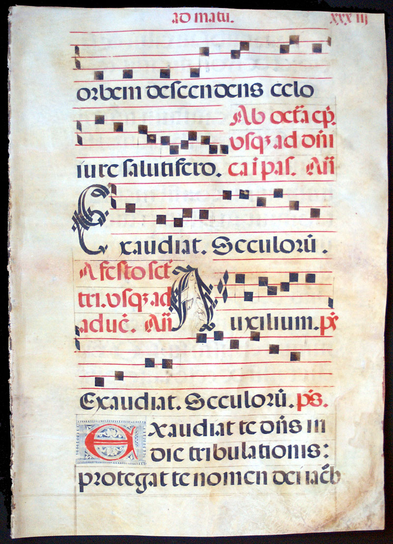 Choir Psalter Leaf - c 1520 - Bird resting inside initial