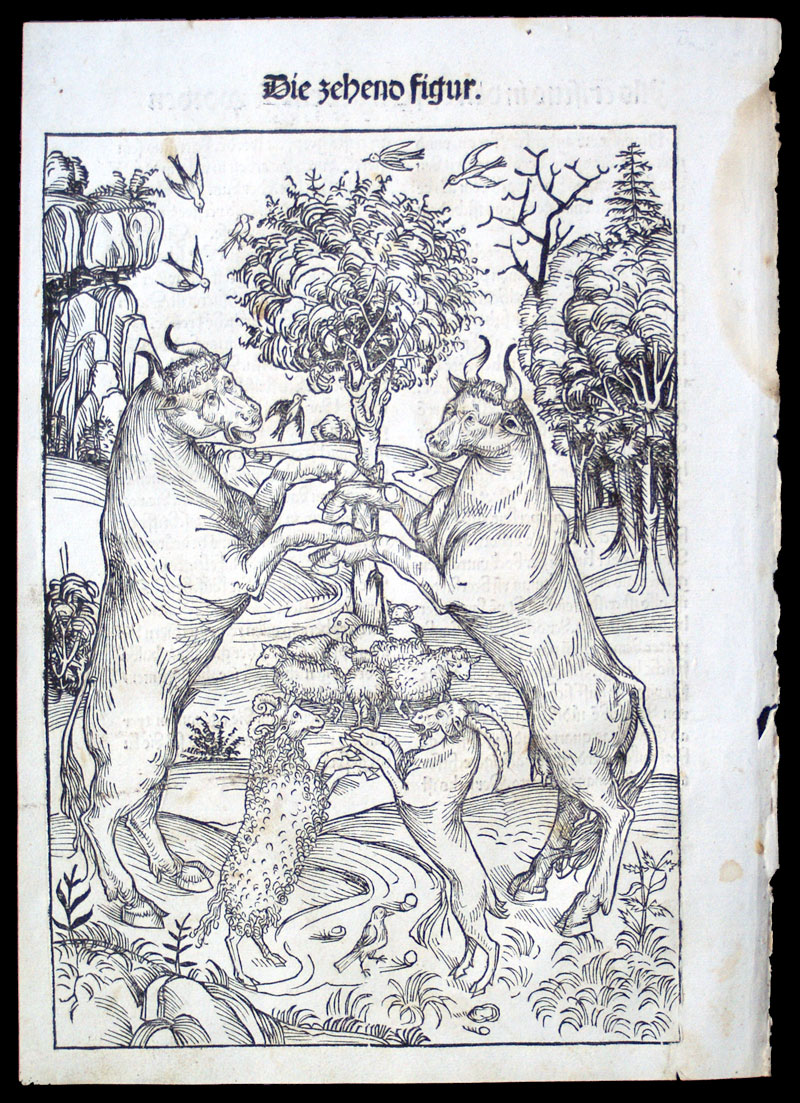 A Rare 1491 Schatzbehalter Leaf - Wohlgemuth woodcut