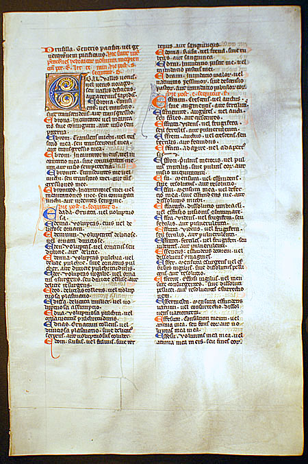 Medieval Bible Leaf - Lexicon - D & E names