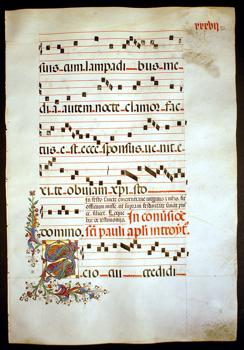 Gregorian Chant - Elaborate Leaf - Conversion of Paul
