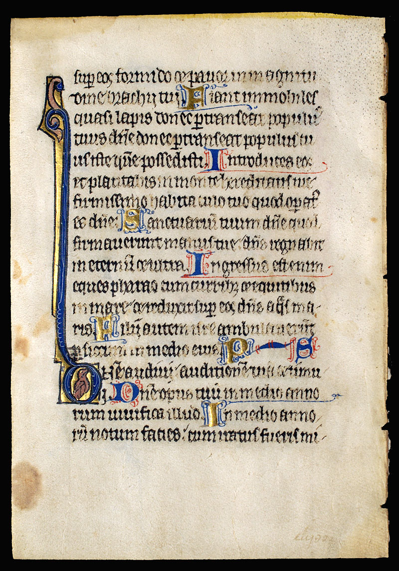 Medieval Psalter Leaf - French Flanders Bird inside initial
