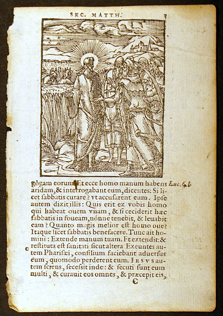 Rare Latin Bible Leaf - Master Woodcut - 1563