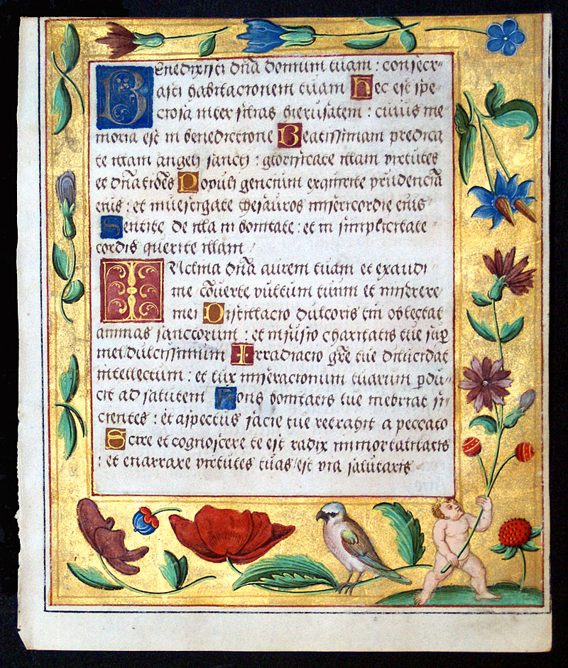 Renaissance Psalter Prayerbook - Elaborate Panel Borders