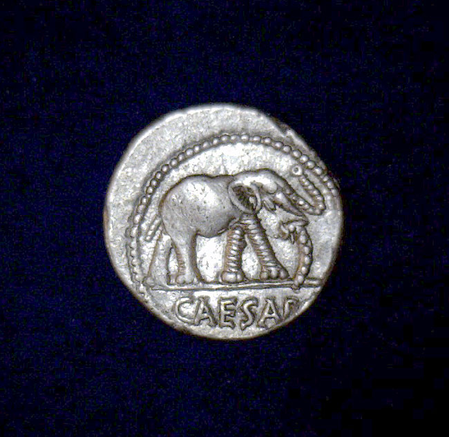 Ancient Roman Coin - Julius Caesar c. 49 BC - Elephant
